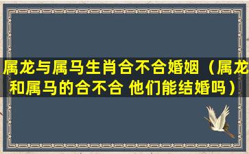 属龙与属马生肖合不合婚姻（属龙和属马的合不合 他们能结婚吗）